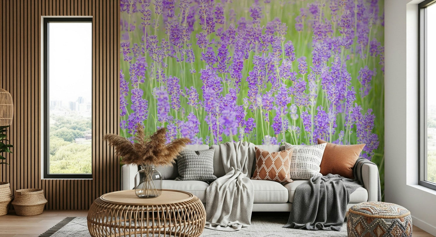 Light green Lavender Field Dream Wall Mural foliage backdrop.