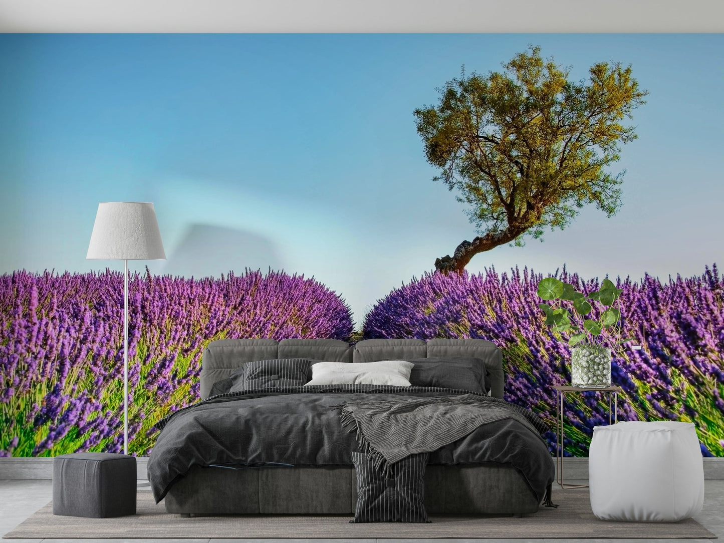 Lavender Field Wall Mural
