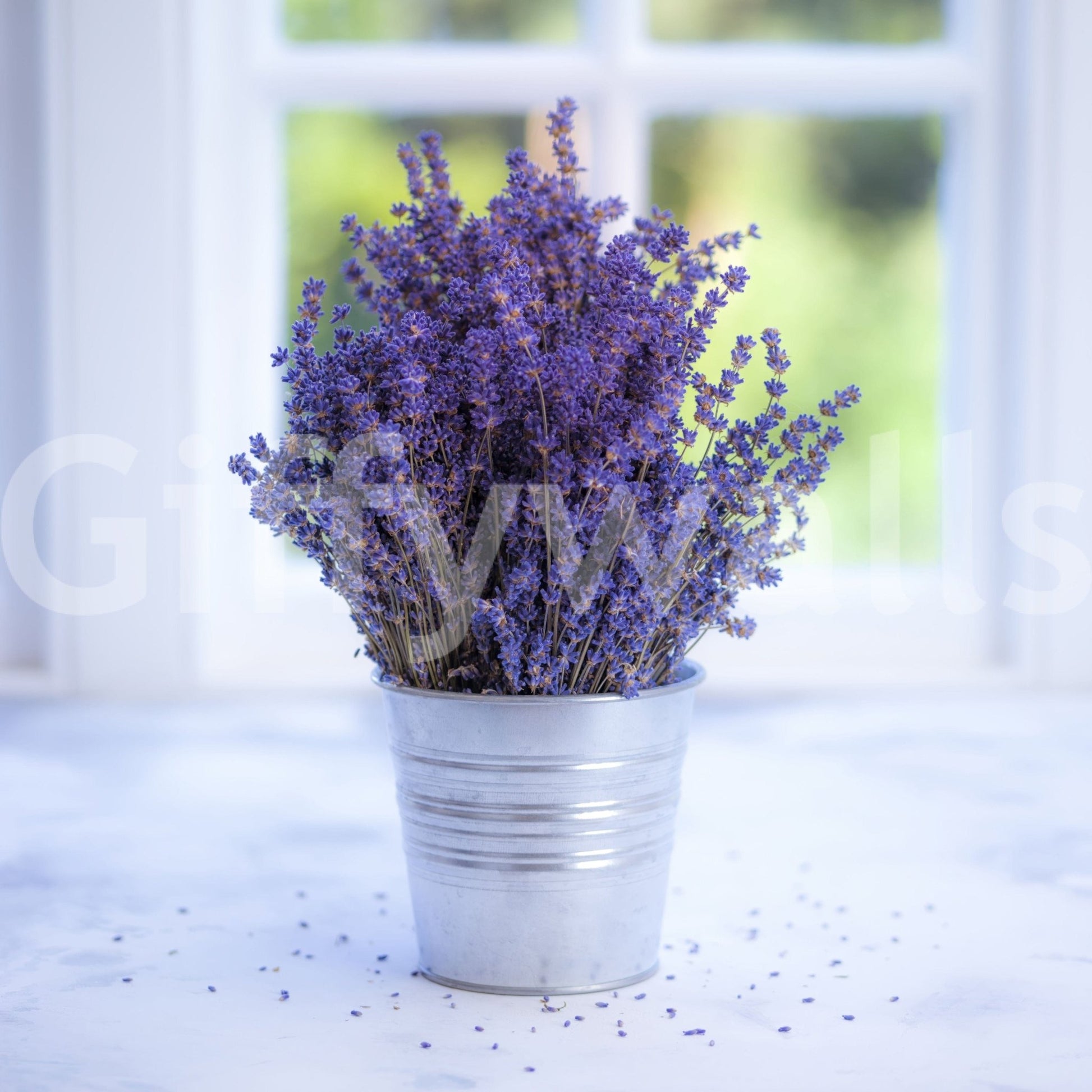 Natural Lavender in a Vase mural, herbal essence, decorative flower display.
