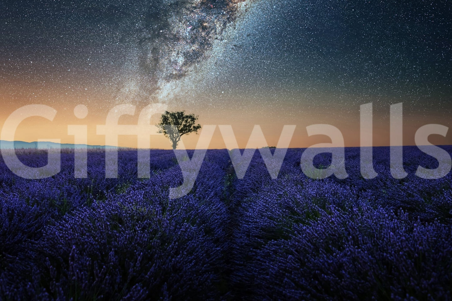 Lavender Night Wall Mural