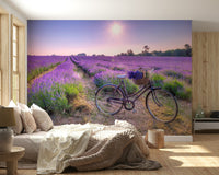 Lavender Ride Wall Mural