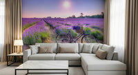Lavender Ride Wall Mural