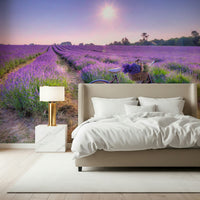 Lavender Ride Wall Mural