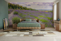 A peaceful wall mural with a field of lavender.


