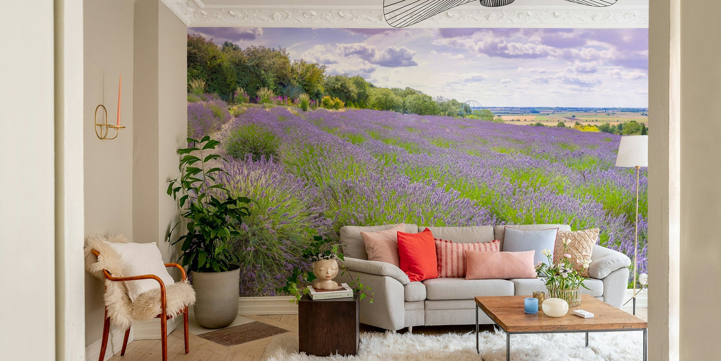 The field is wide, with a path leading into the distance.

