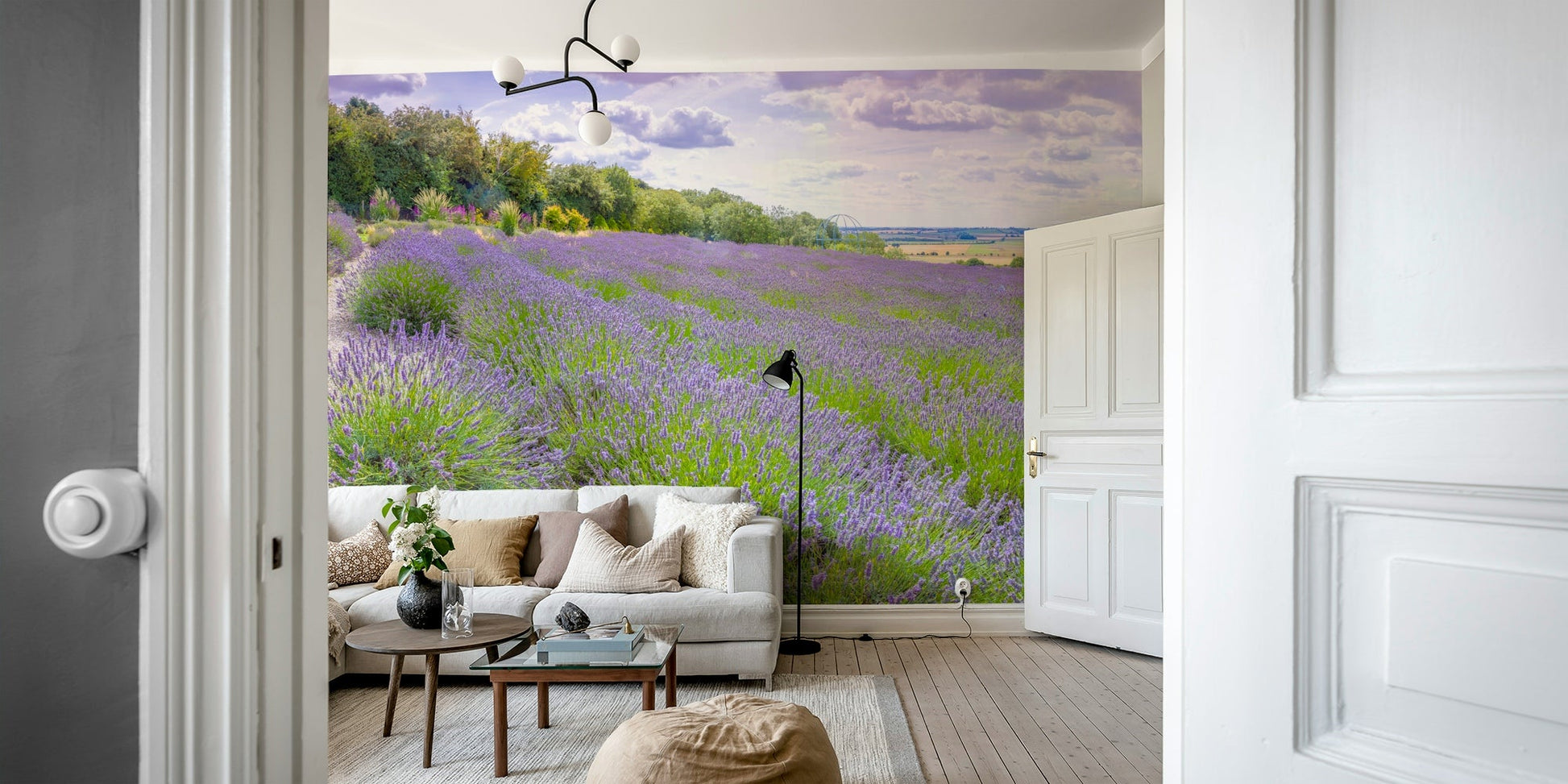 The background is a soft, light color.

