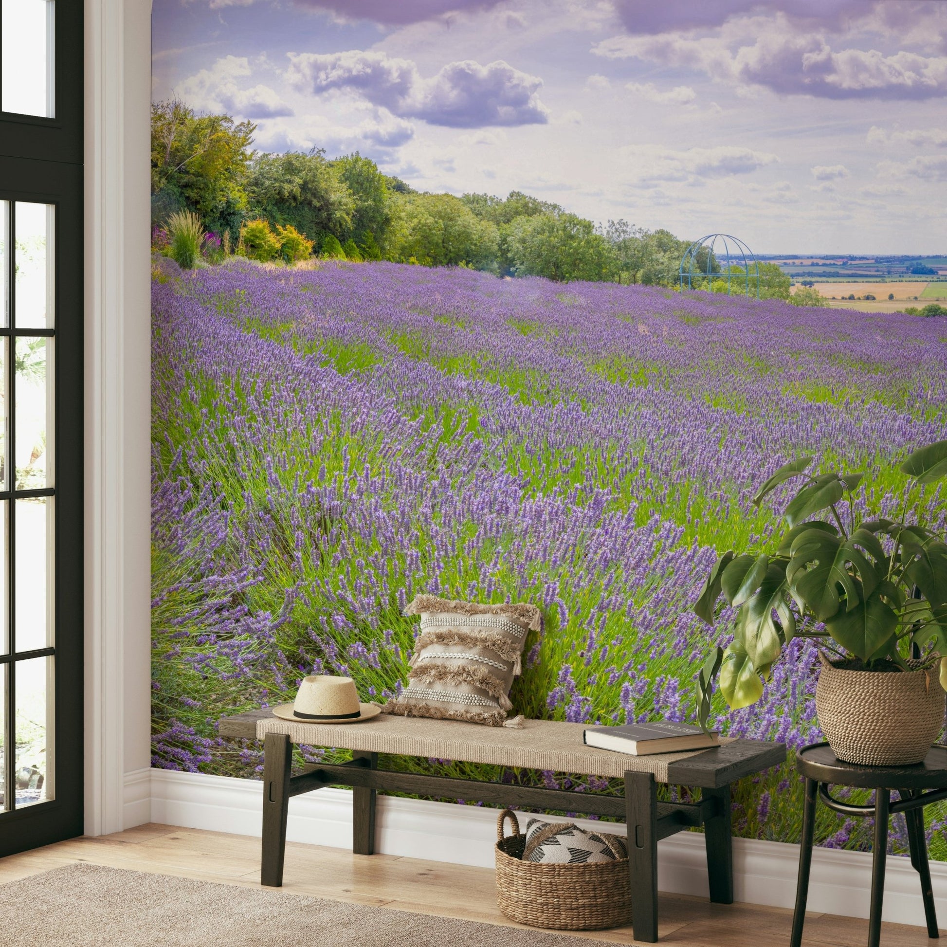 The colors are soft and gentle.

