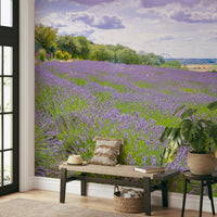 The colors are soft and gentle.

