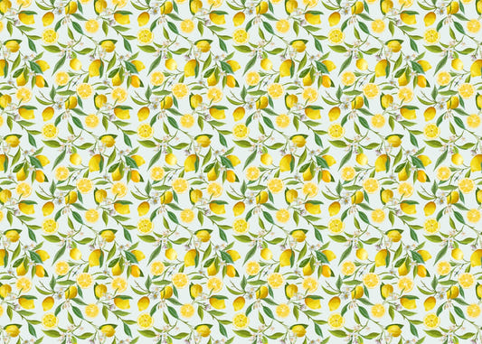 Kitchen Lemon Design Wallpaper Mural
