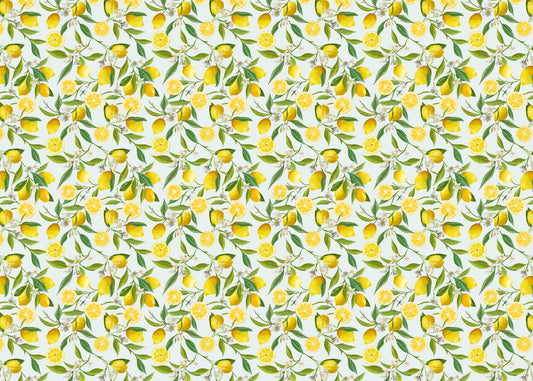 Kitchen Lemon Design Wallpaper Mural