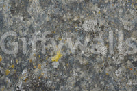 A high-quality minimalist wall mural for walls.