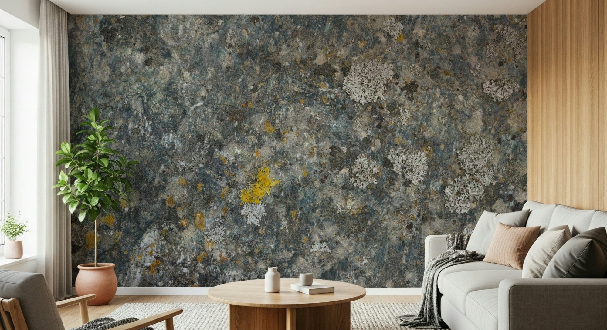 A beautiful subtle lichen rock wallpaper mural with natural stone texture., GD6044