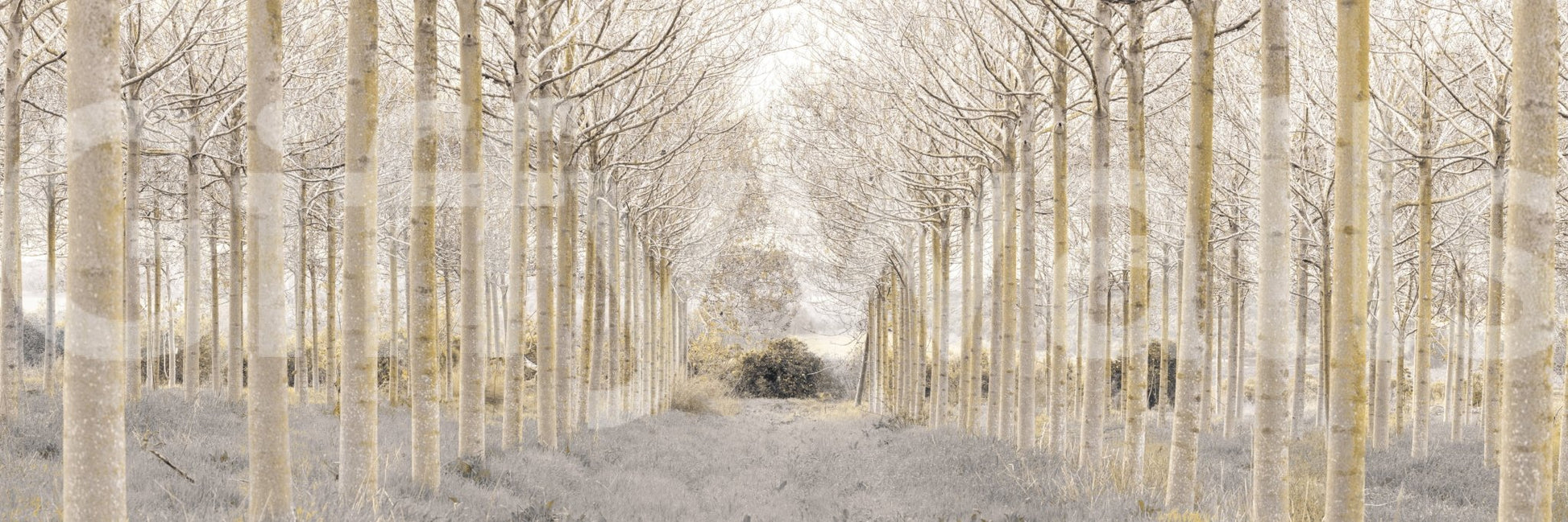 A harmonious statement piece.

