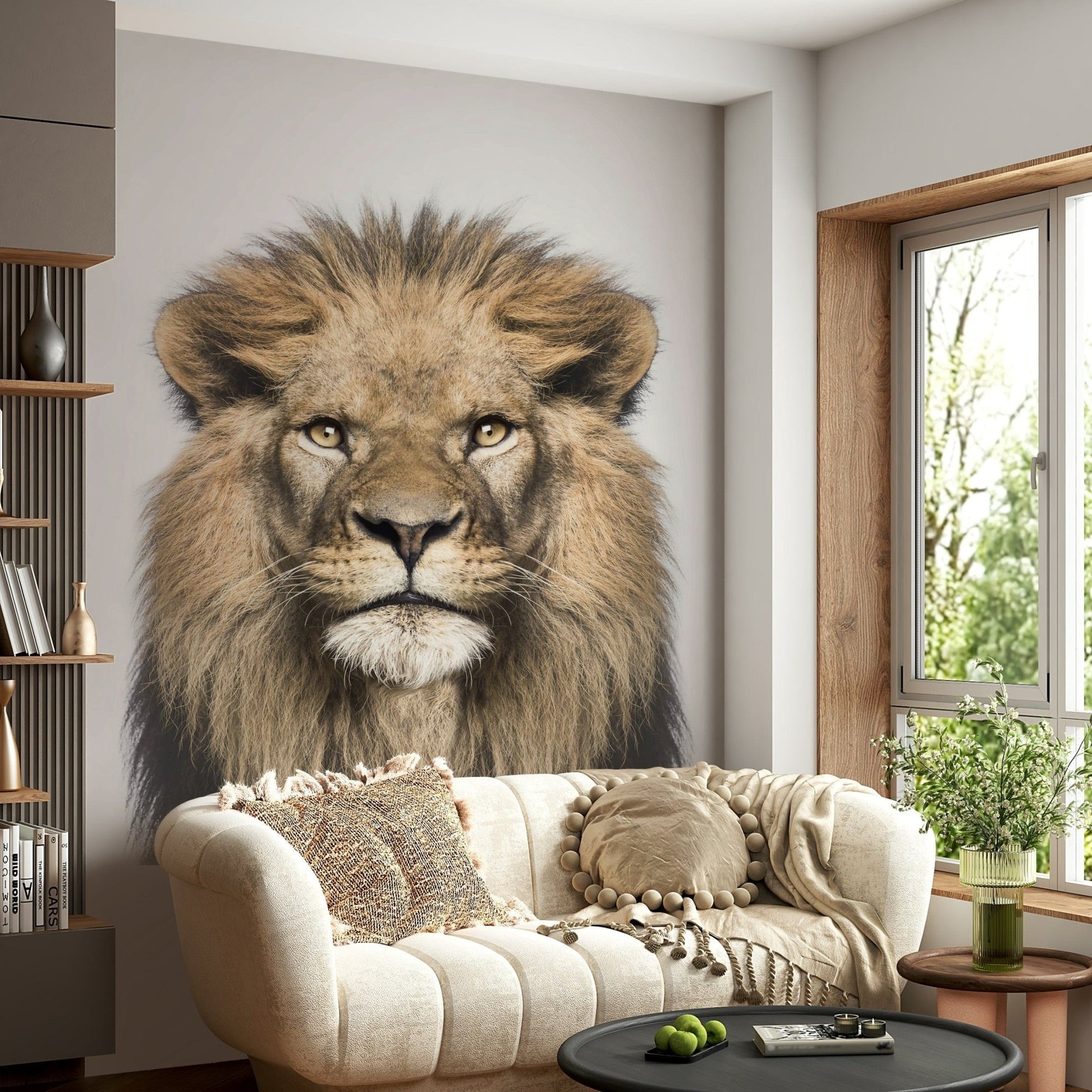 Majestic African lion against white

