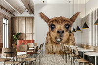 Soft colors of llama fur and natural background.

