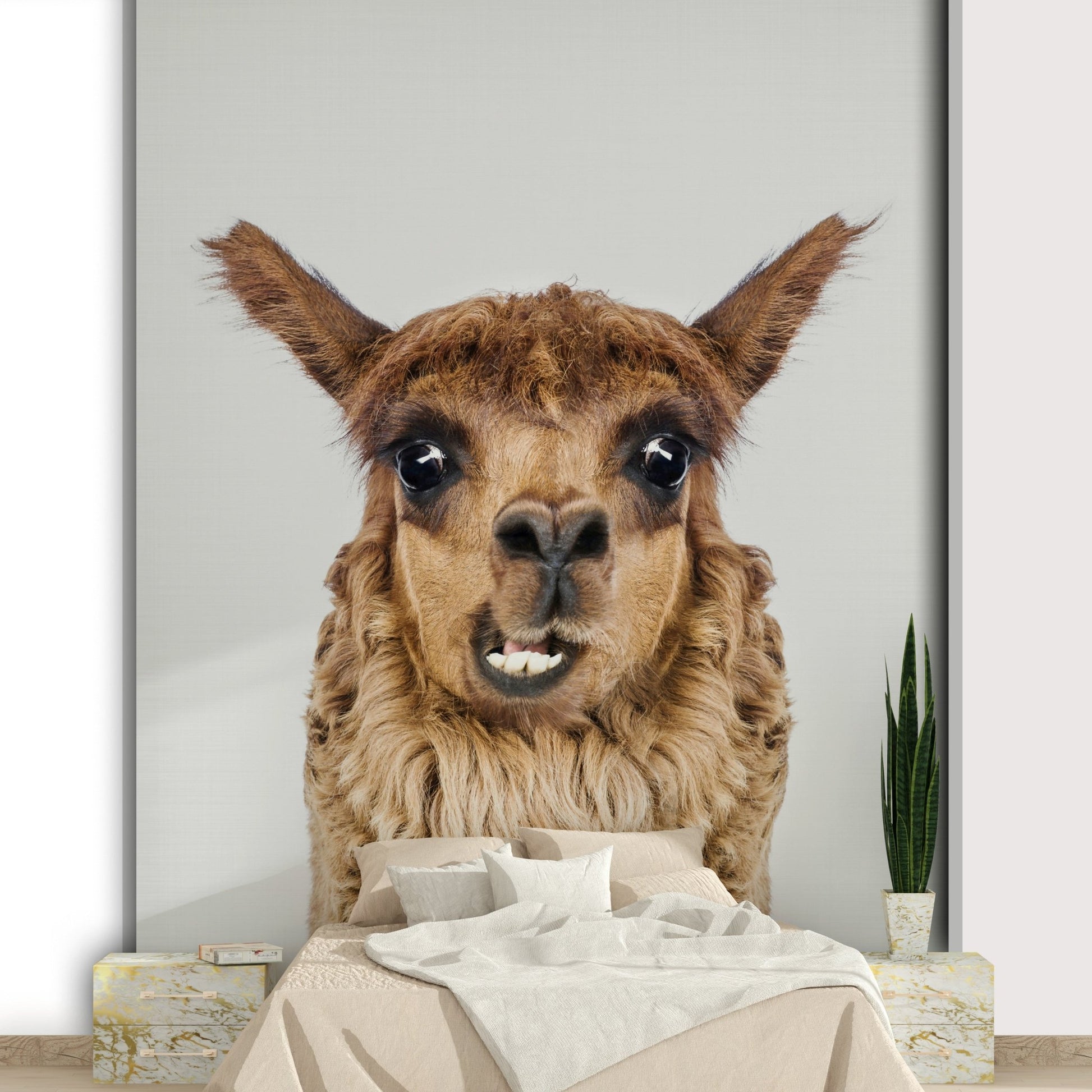 High-resolution image of a llama.

