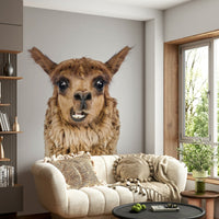 Ideal for a child's room, living room, or study.

