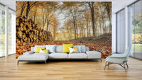 Rustic wall mural with forest and log pile

