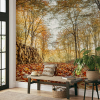 Logs in autumn forest wall mural design

