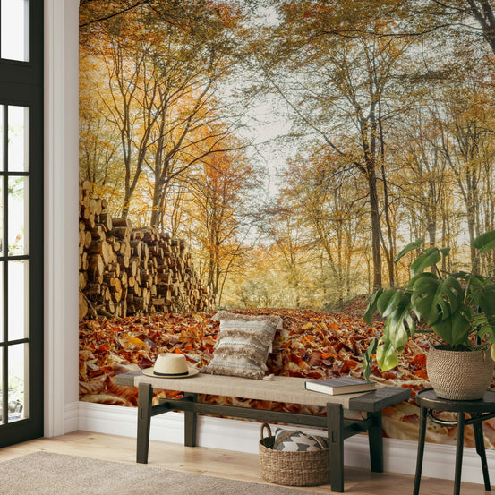 Logs in autumn forest wall mural design, GD1970