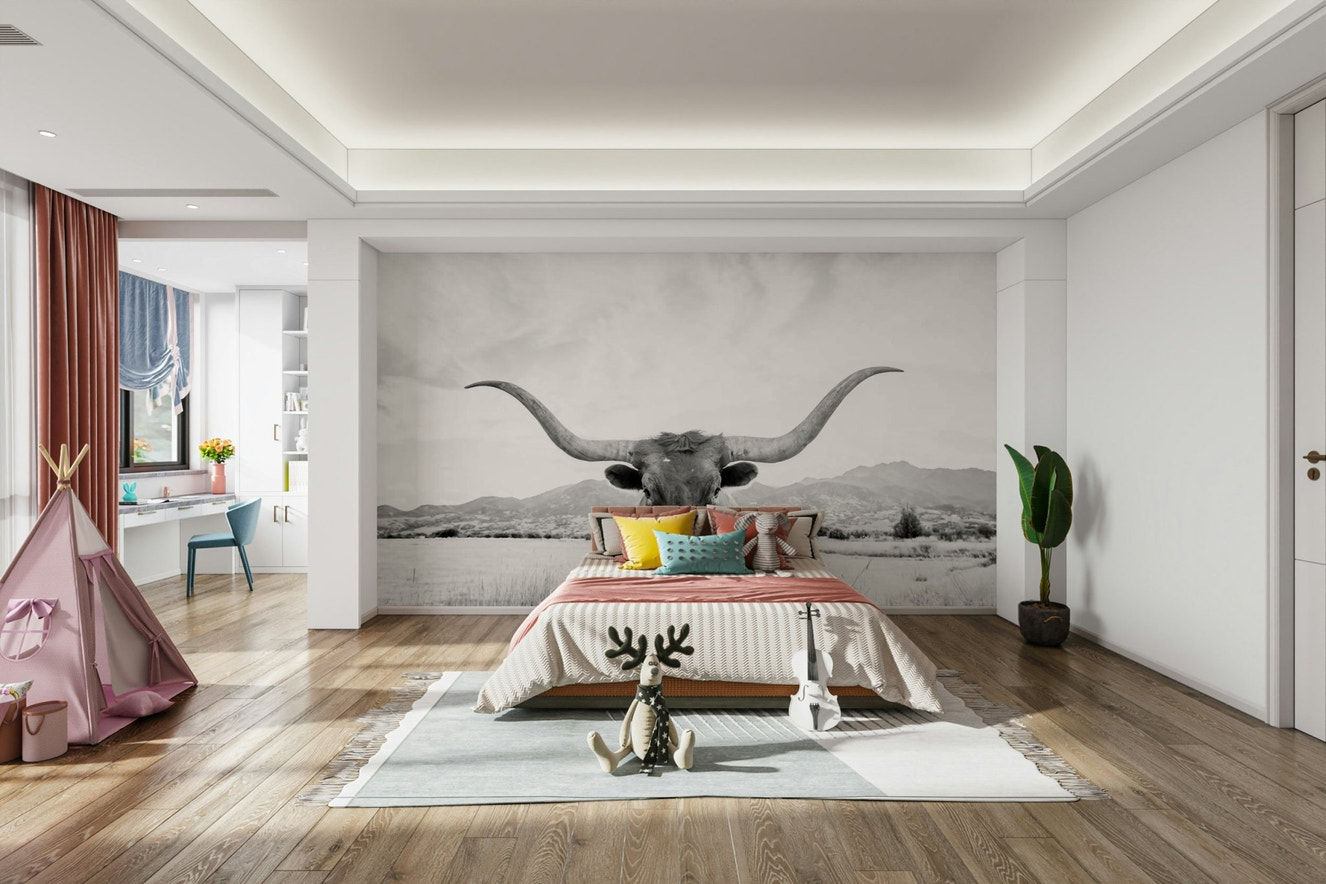 Majestic longhorn in black and white.

