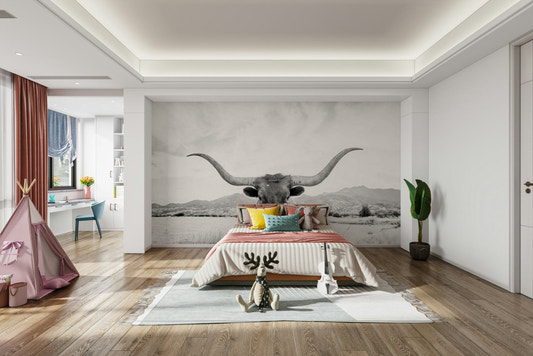 Majestic longhorn in black and white.

