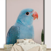 Bright tropical mural with illustrated lovebirds


