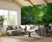 The light filters through the leaves in a gentle way.

