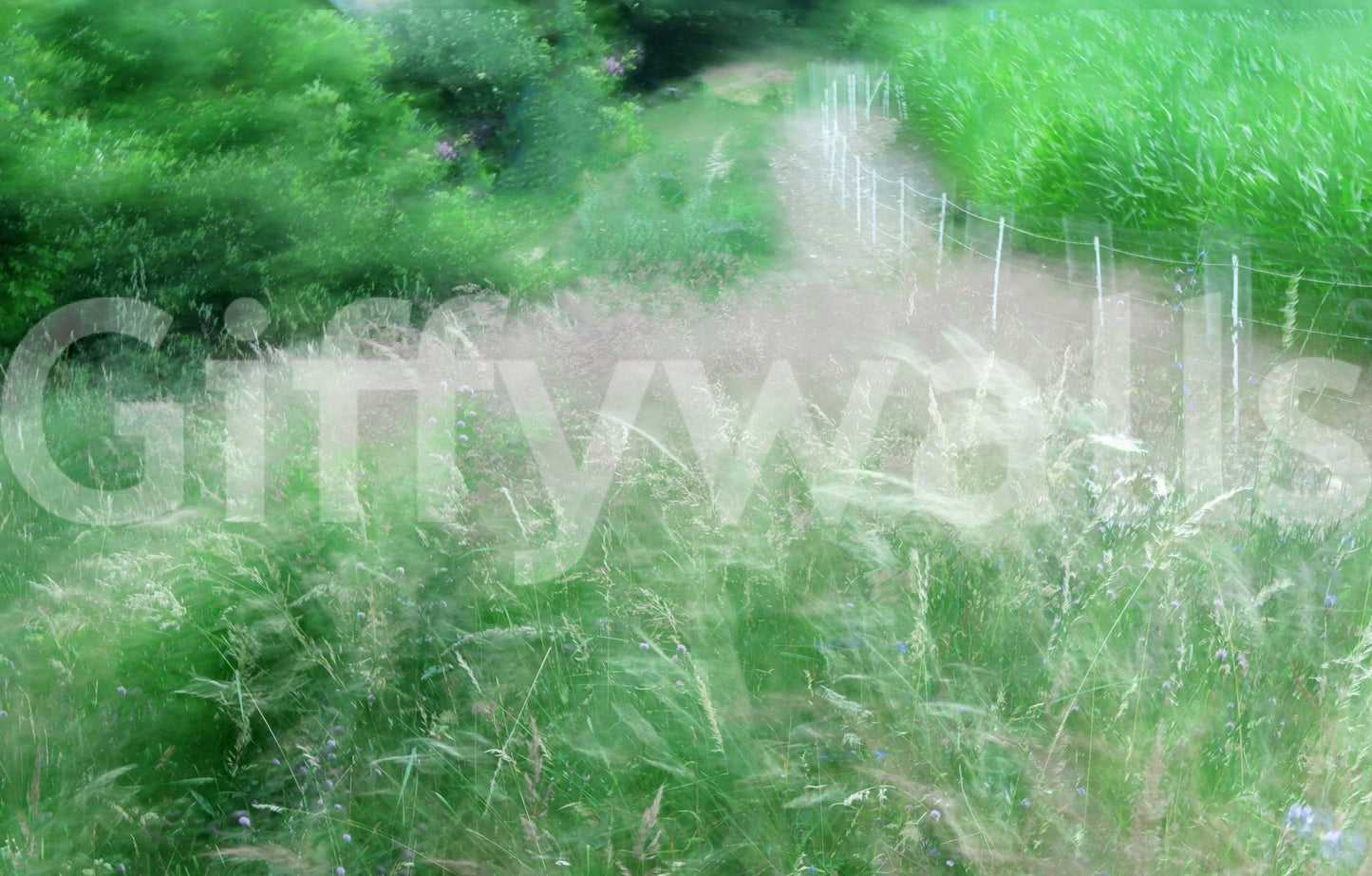The Lush Green Pathway mural makes a soft and subtle statement.

