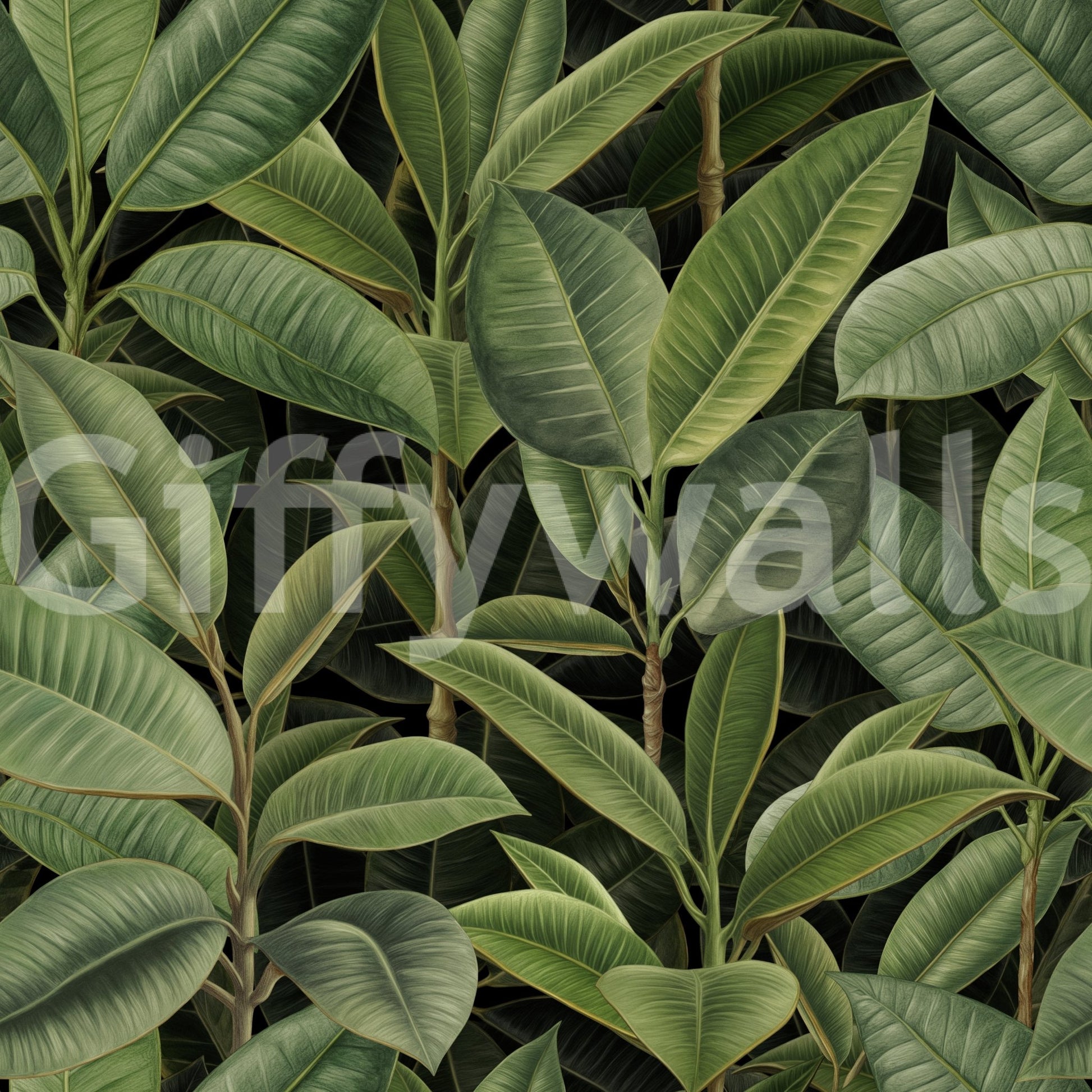 Wallpaper with a calm and beautiful look







