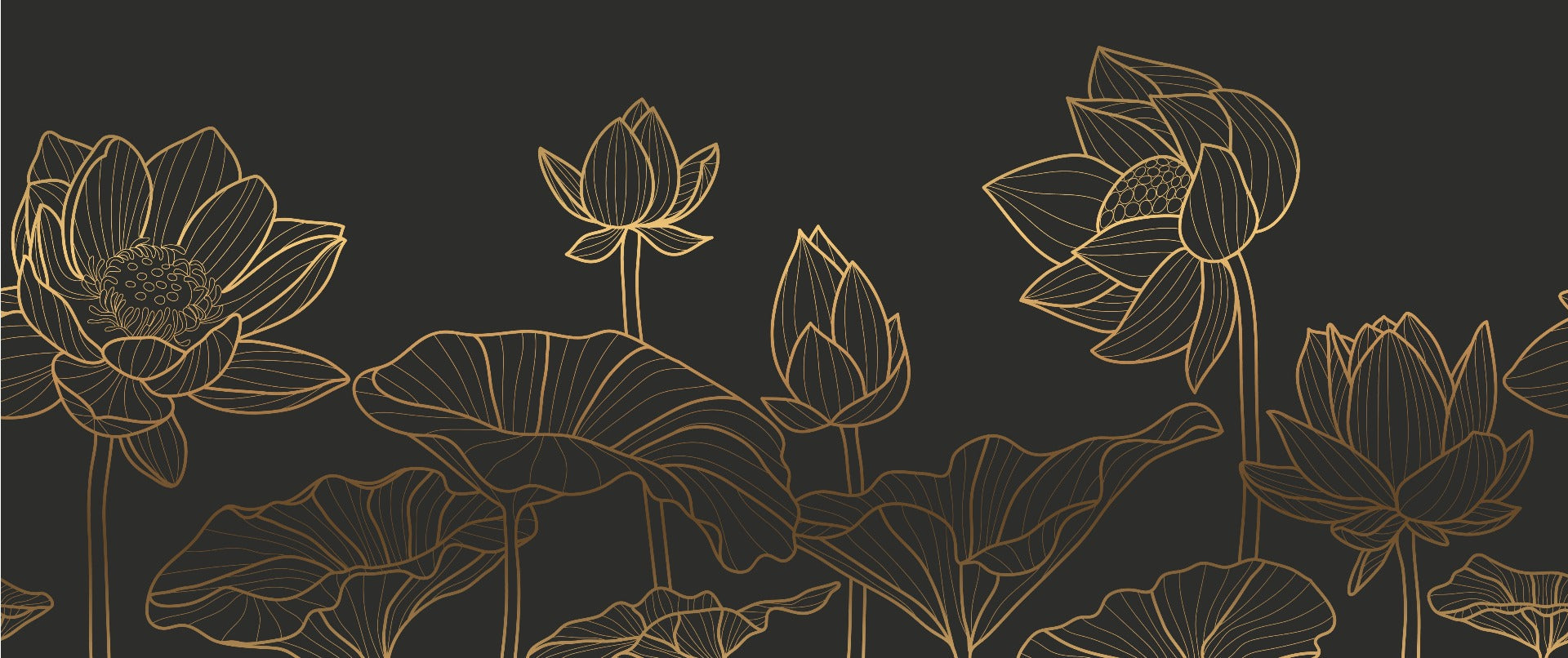 Black Lotus Luxury Wallpaper Mural