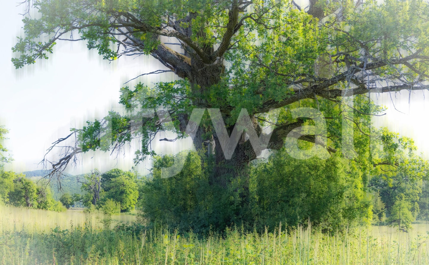 The Majestic Green Tree mural gives the space a classic and natural feel.

