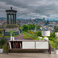 Majestic Hilltop View wall mural showing elevated city landscape