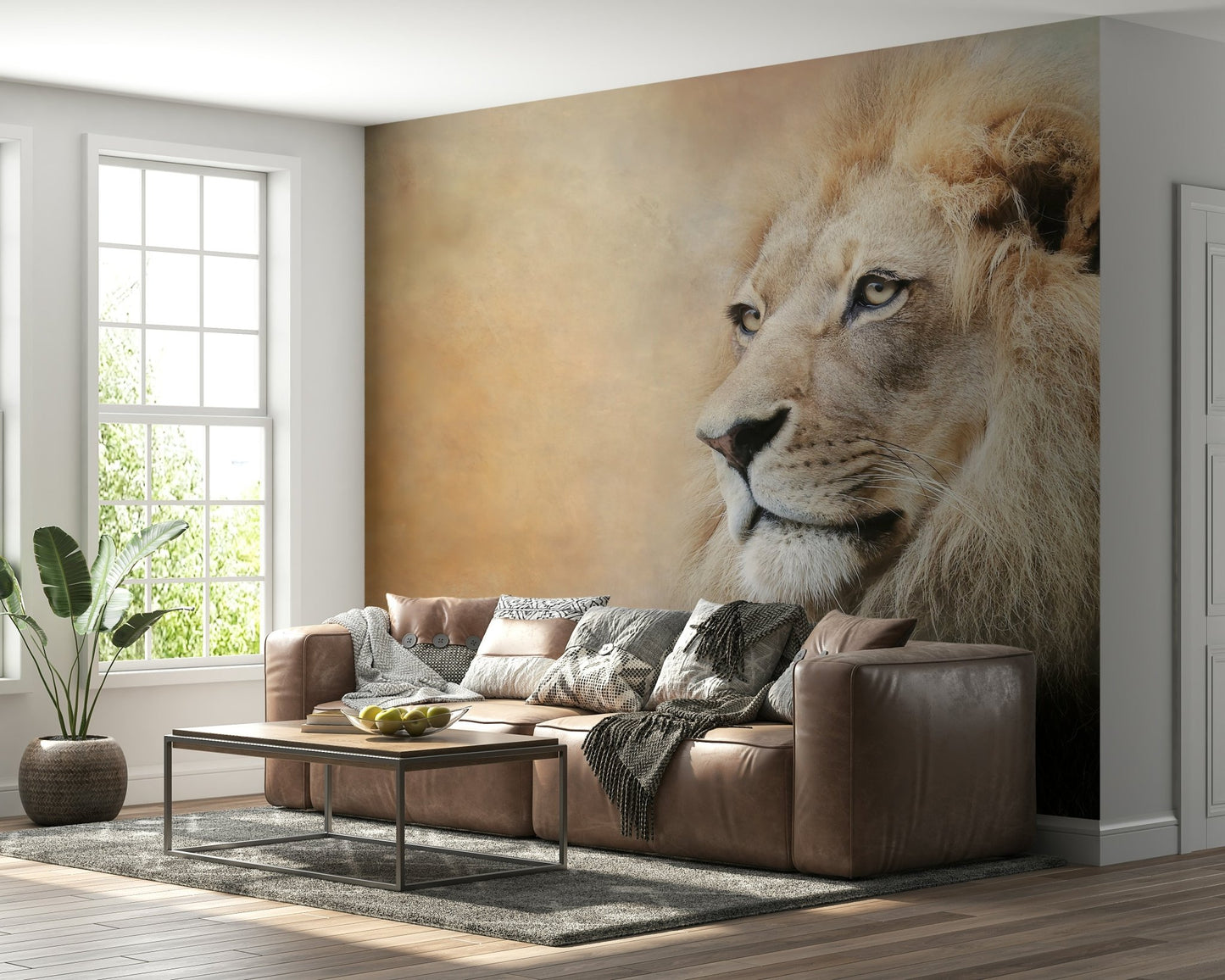 A beautiful majestic lion gaze wallpaper mural with an intense, powerful expression.