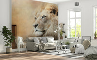 A contemplative gentle lion wallpaper mural for a feature wall.