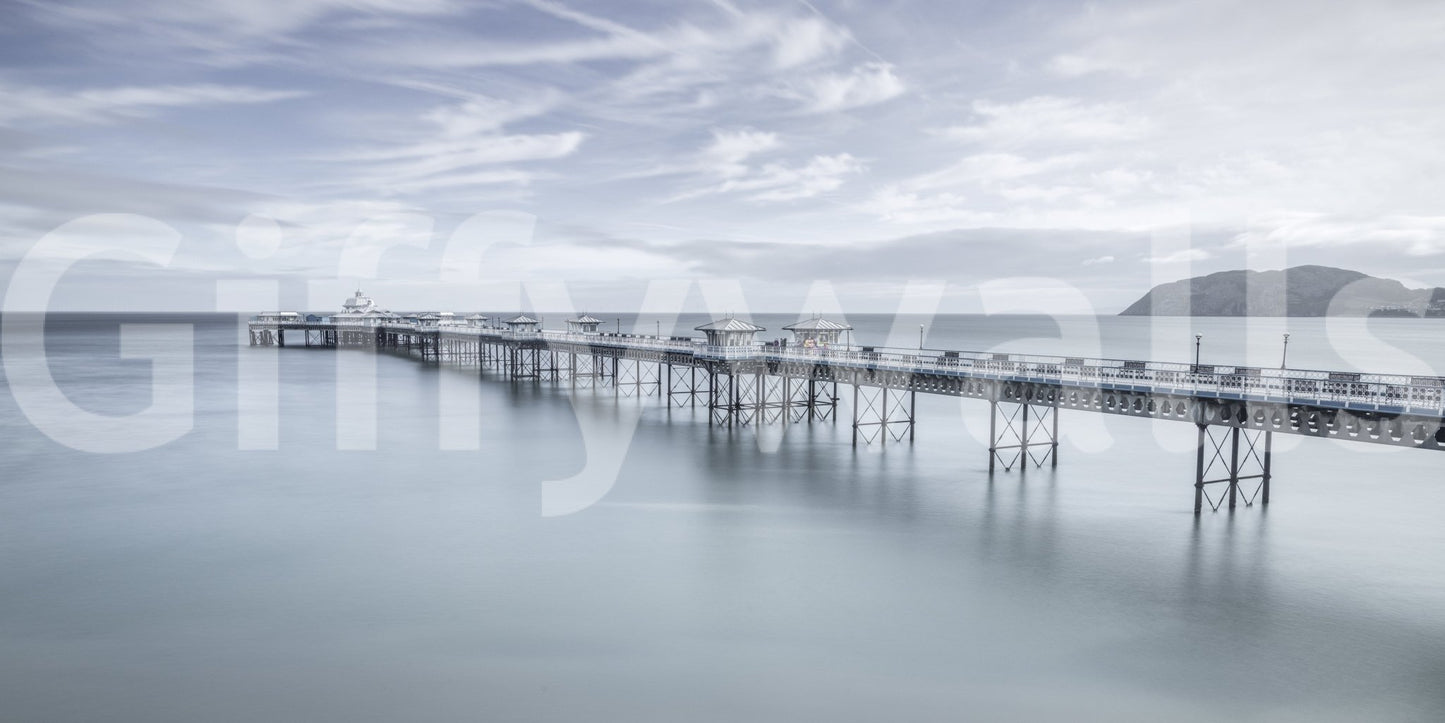 The image feels peaceful and restful, like a quiet day by the water.

