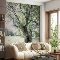 A large-scale nature photography art print.

