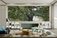 The room feels grounded and peaceful due to the natural scene.

