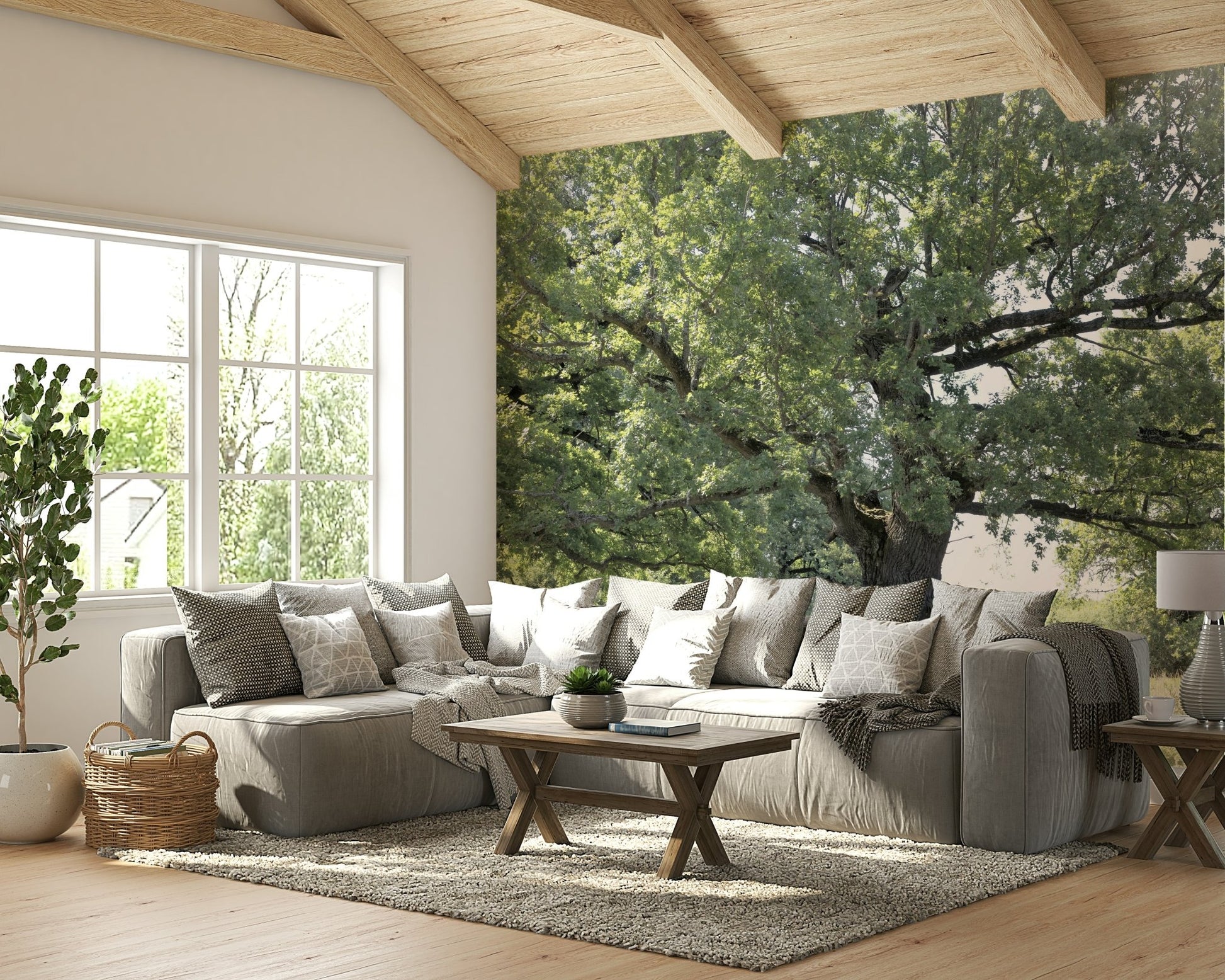 The powerful presence of the tree is captured in high-quality nature photography.

