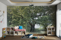 The wall mural is installed on a living room feature wall.

