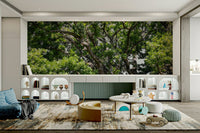 A close-up view of the detailed leaves and bark.

