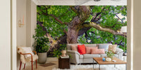 A photo-realistic wall mural of a majestic oak tree canopy., GD2746