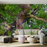 The wallpaper is applied seamlessly, making the view feel realistic., GD2746