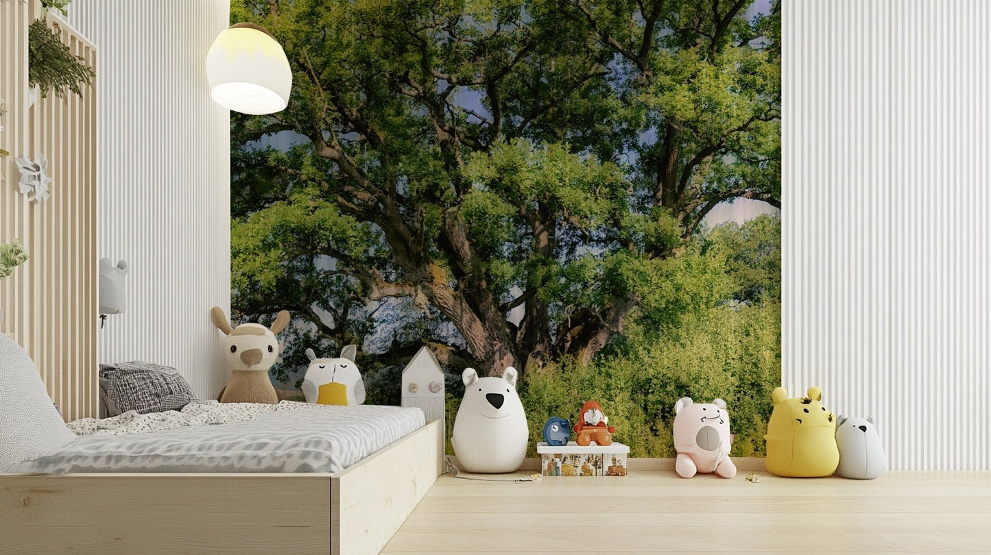 A photo-realistic wall mural of a majestic oak tree in a landscape.

