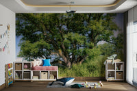 The room feels grounded and peaceful due to the natural scene.

