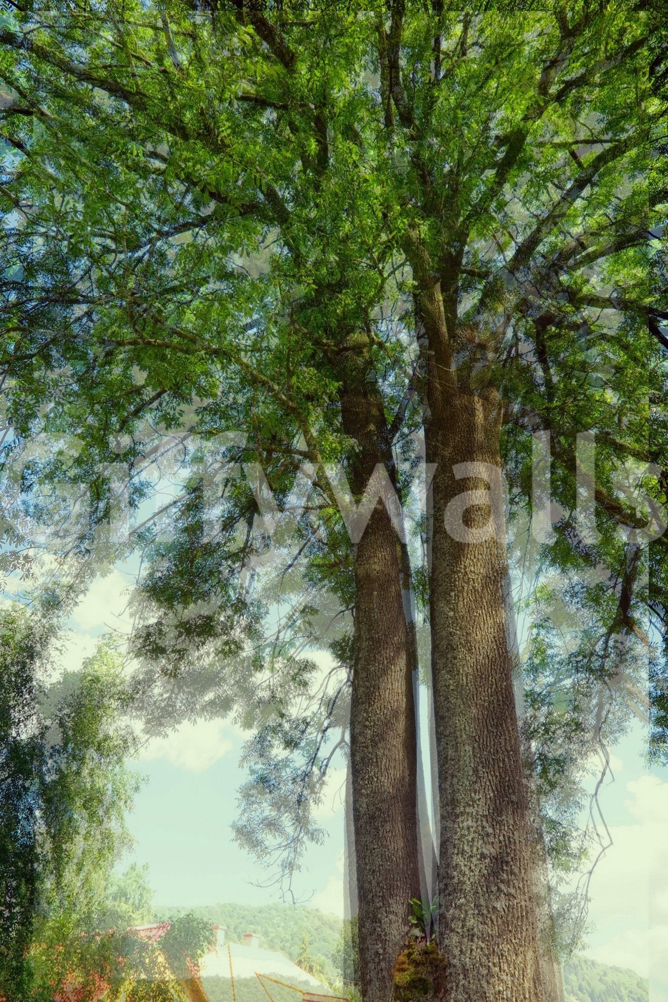 The Majestic Tree Canopy mural gives the space a peaceful and natural feel.

