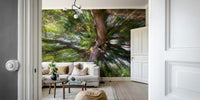 A photo-realistic wall mural of a vibrant forest scene.

