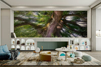 Sunlight filters through the tree canopy, creating a lively feel.

