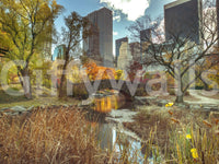Contemporary wall mural depicting a quiet street during the fall season.