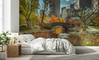 Manhattan's Autumn Embrace Wall Mural showcasing seasonal park views.
